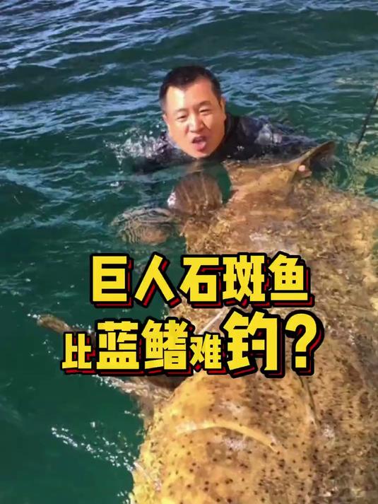 巨人石斑鱼比蓝鳍还难钓吗?今天来挑战巨人石斑鱼!