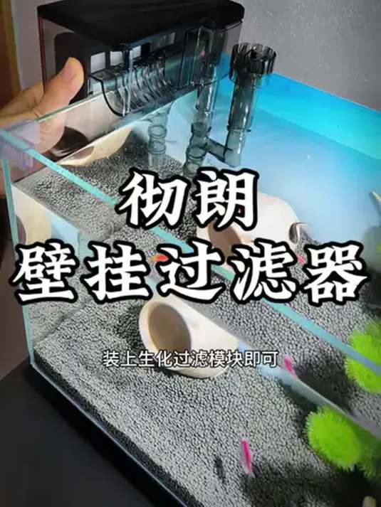 新手养鱼必备:小鱼缸壁挂过滤器,静音除油膜超实用