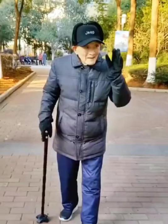 实木拐杖老年人拐杖防滑木质手杖一体高端鸡翅木登山杖轻便耐用