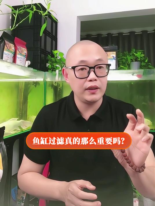 鱼缸过滤真的那么重要吗?