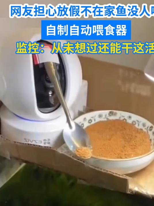 网友担心放假不在家鱼没人喂 自制自动喂食器 监控从未想过还能干这活