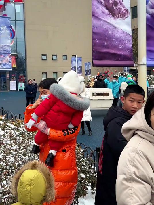 我敢说，你们家狗没有见过企鹅，哈哈，河南郑州欢迎你