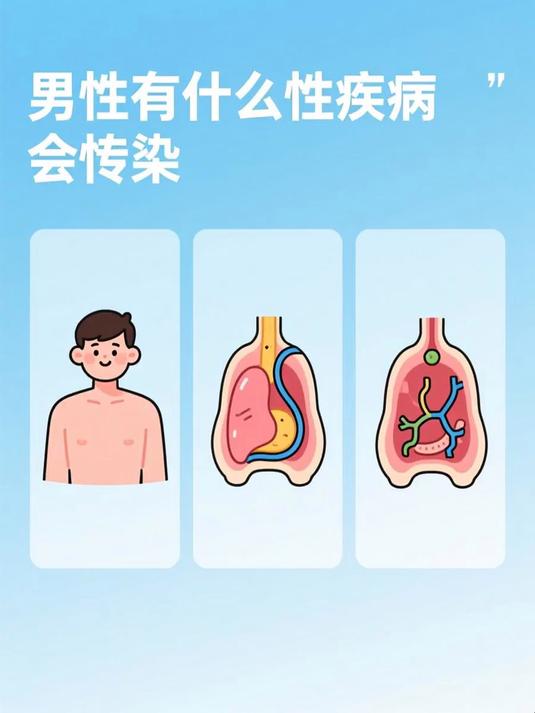 男性有什么性疾病会传染 #健康扬帆季#