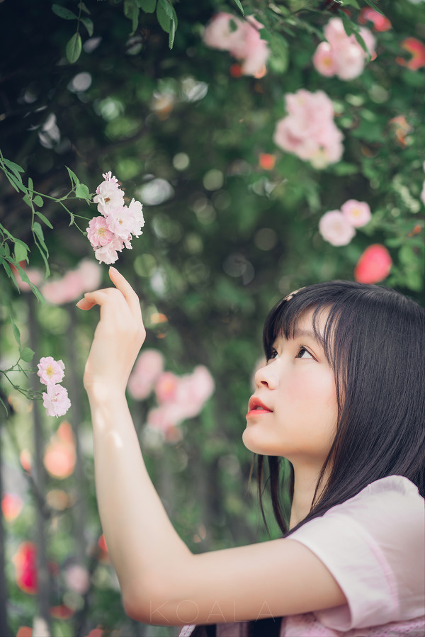 图片[14]-Blooming rose-六色网