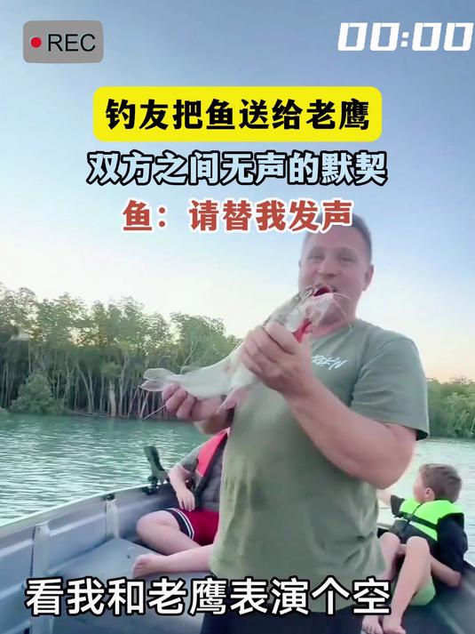 钓友把鱼送给老鹰,双方之间无声的默契,鱼:请替我发声