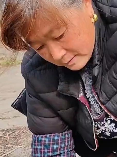 记录乡村生活,妈妈挖荠菜包饺子
