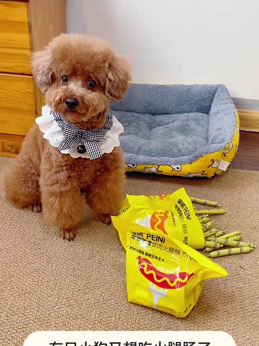 这款宠物火腿肠真的太好了,猫犬通用香肠,高肉狗狗零食!