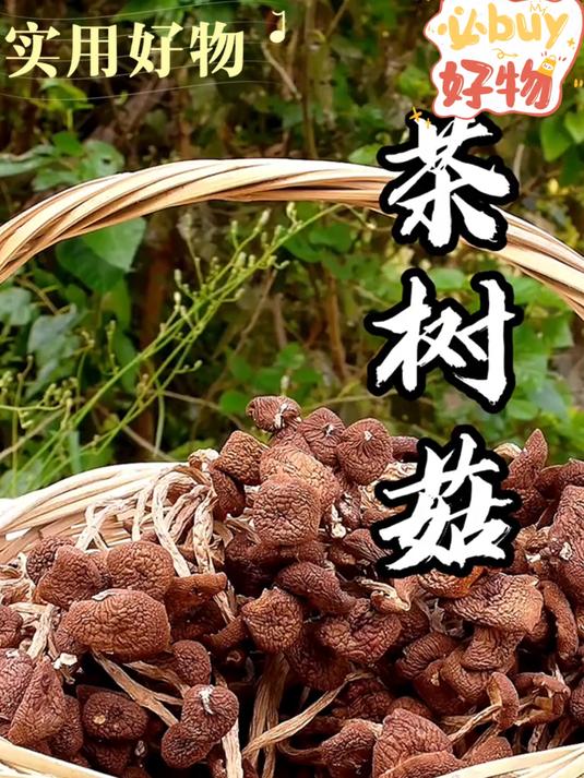 无添加茶树菇干货,健康食材放心吃