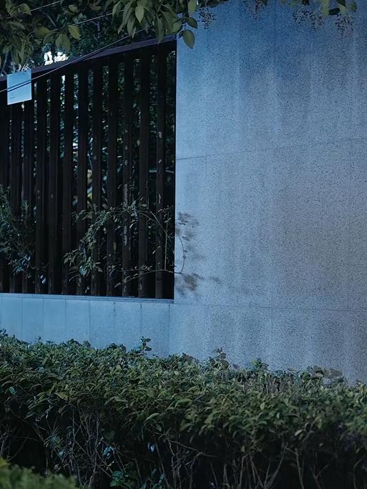 暂时没有的记忆 36