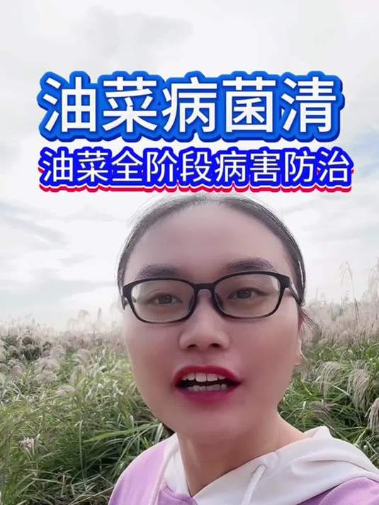 油菜病害咋防治?用对杀菌剂,轻松保丰收!
