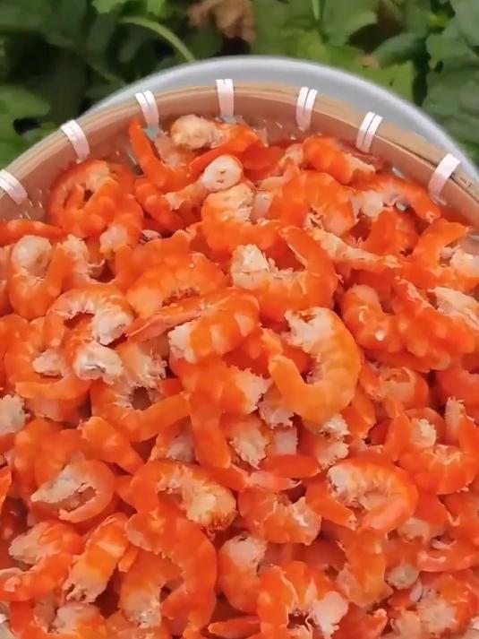 野生海米海虾仁,海洋鲜味满满,超赞