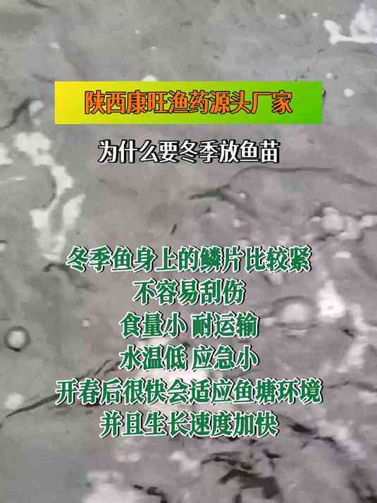 为什么要冬季放鱼苗