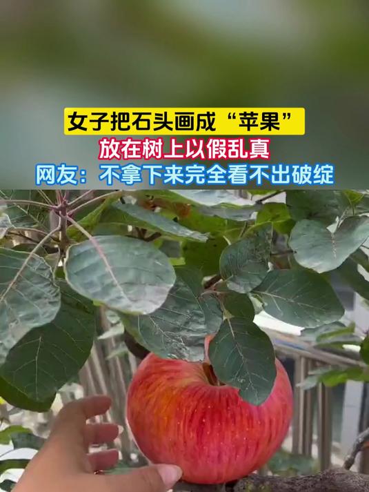 女子把石头画成“苹果”,放在树上以假乱真,网友:不拿下来完全看不出破绽