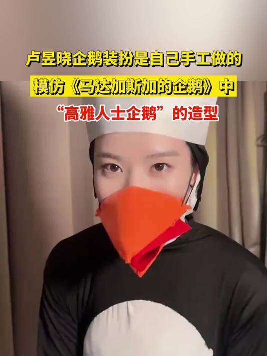 卢昱晓企鹅装扮是自己手工做的,模仿《马达加斯加的企鹅》