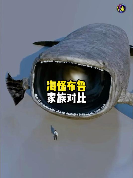 深海海怪布鲁家族对比谁最恐怖