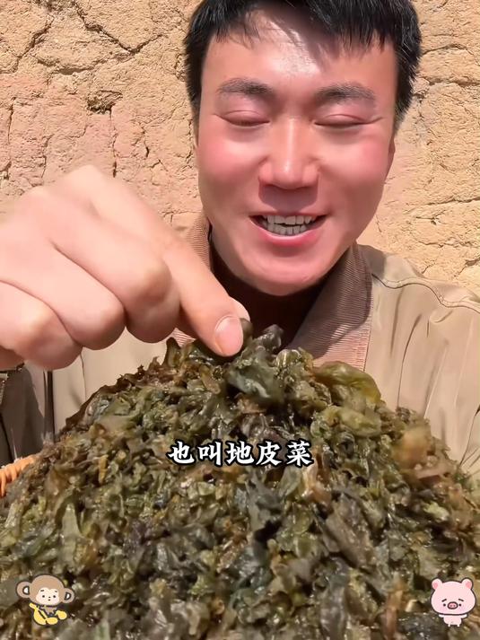 地皮菜太香了!5 分钟搞定,配米饭能炫两碗～