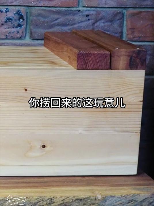 女孩错把娃娃鱼卵当蝌蚪带回家养，5天后，水池里传来孩子哭声