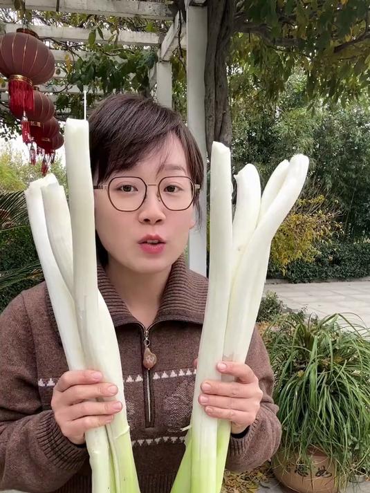 大锅酱油菜,是家的味道