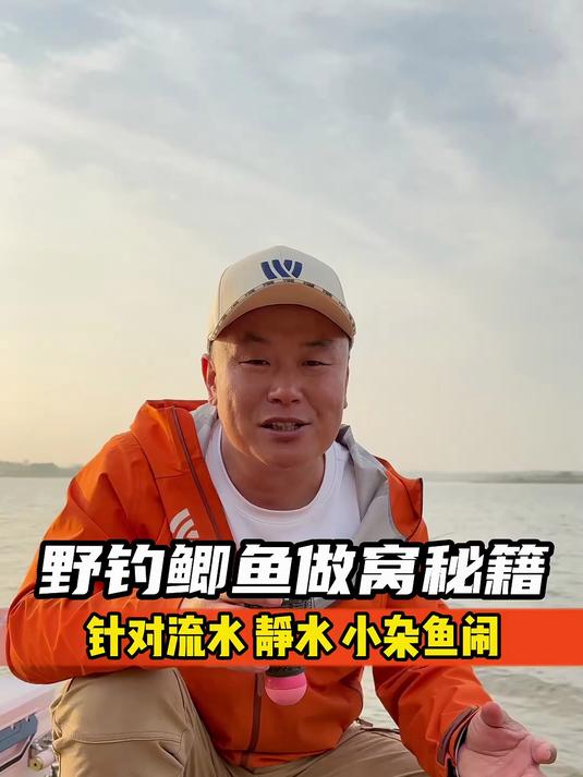 野钓鲫鱼做窝秘籍,针对流水、静水、小杂鱼闹的情况