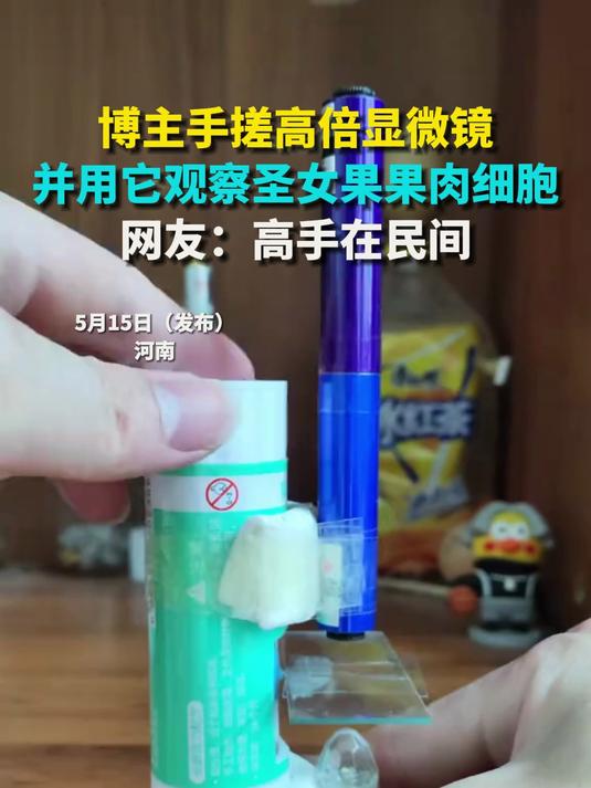 博主手搓高倍显微镜 并用它观察圣女果果肉细胞 网友:高手在民间