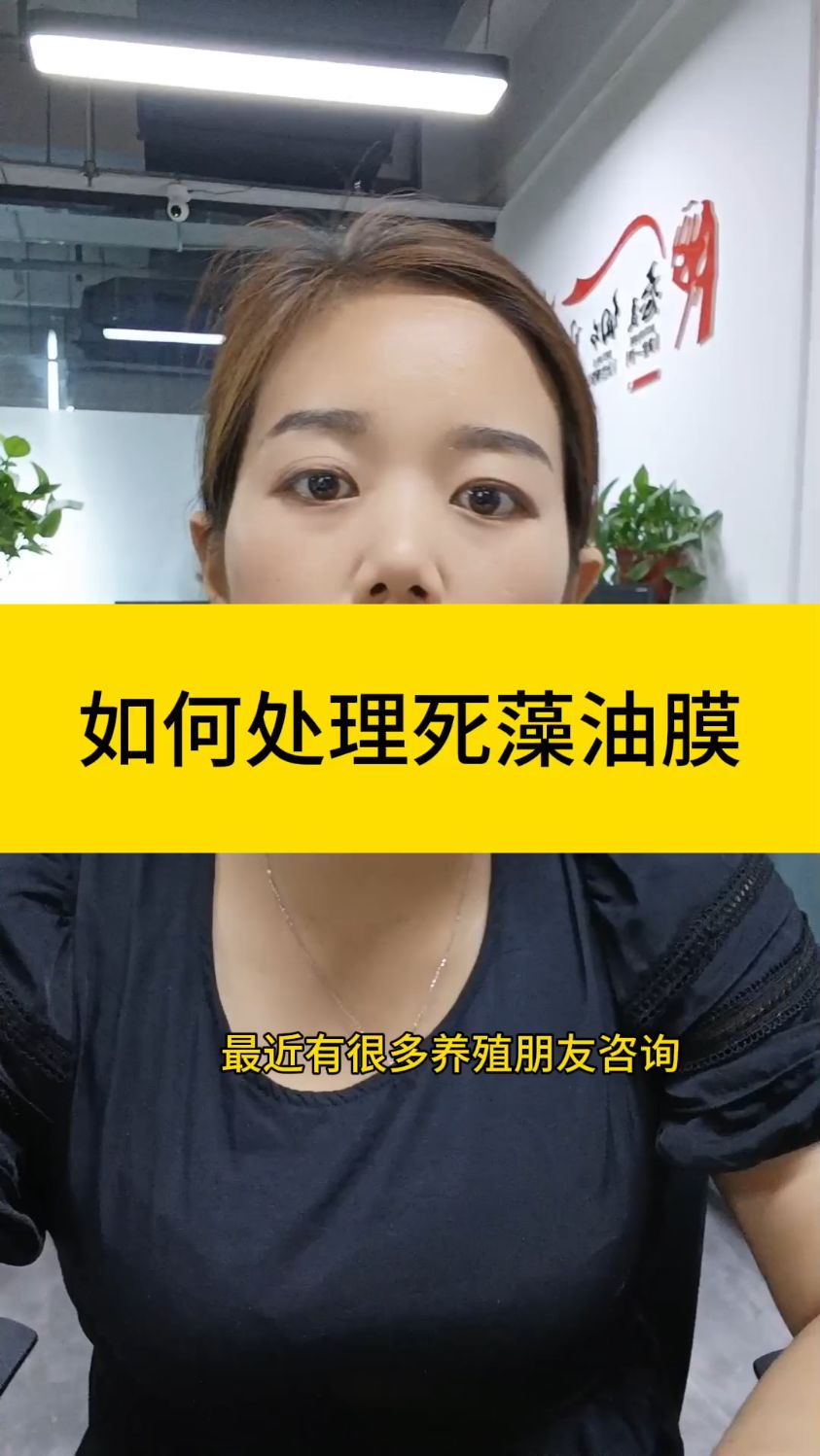 怎么处理油膜死藻