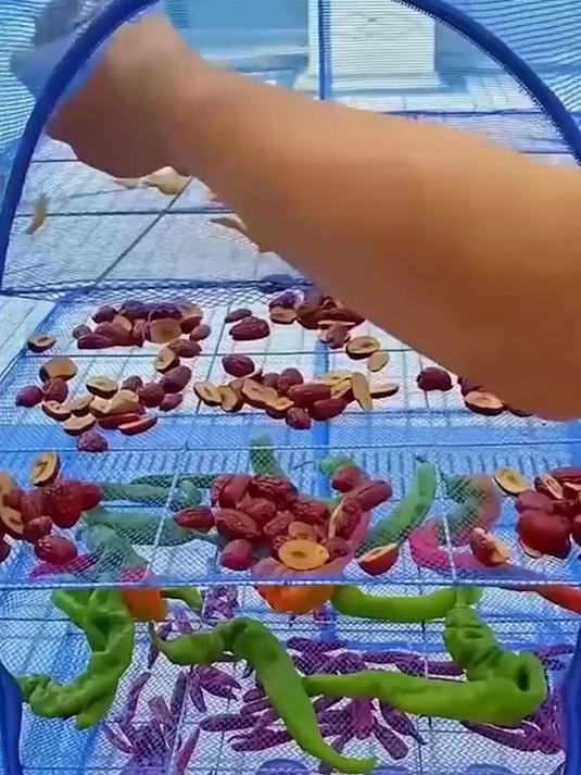 省心必备晾晒笼！一笼多用能晒鱼晒肉晒菜干，防虫网罩守护好美味