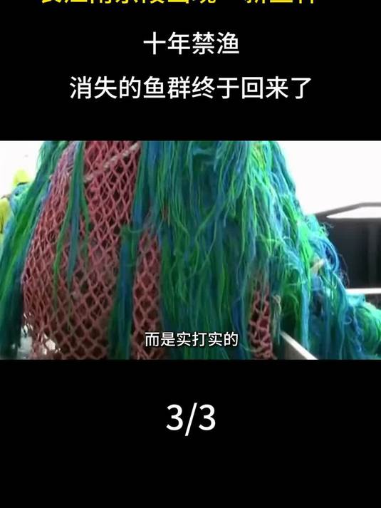 长江南京段出现“新鱼种”，十年禁渔，消失的鱼群终于回来了！#长江 #鱼群 #科普 #生物科