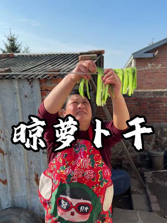 屯冬菜之晾萝卜干 农村美食 屯冬菜
