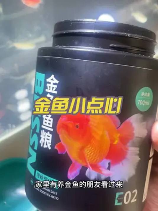 贝森鱼食太牛啦!金鱼爱吃不浑水,营养还超高!