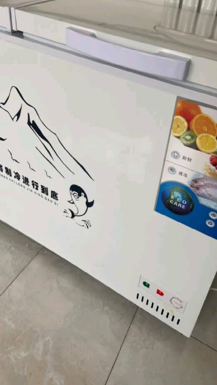 雪贝娜冰柜商用家用卧式冷柜大容量冷藏冷冻双温展示柜 628单温