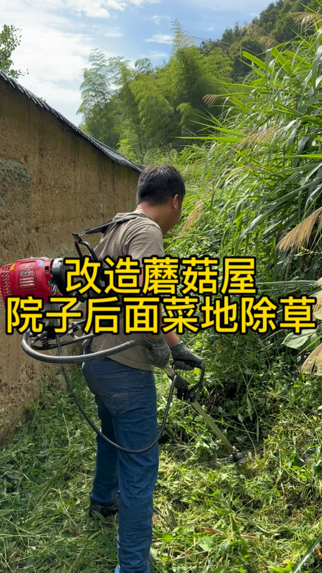 院子后面还有一片菜地已经被草淹没了,老公说收拾出来养鸡鸭,院子水沟也硬化了