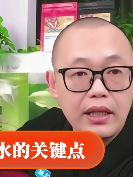 鱼缸换水的关键点