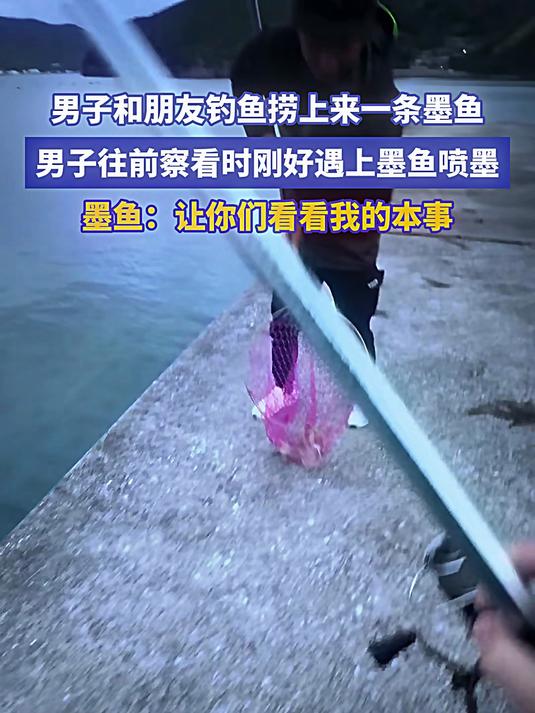 男子和朋友钓鱼捞上来一条墨鱼 男子往前察看时刚好遇上墨鱼喷墨#宝藏城市漫游记#