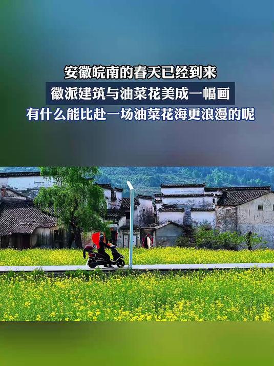 安徽皖南的春天已经到来,徽派建筑与油菜花美成一幅画。#马上就出发#