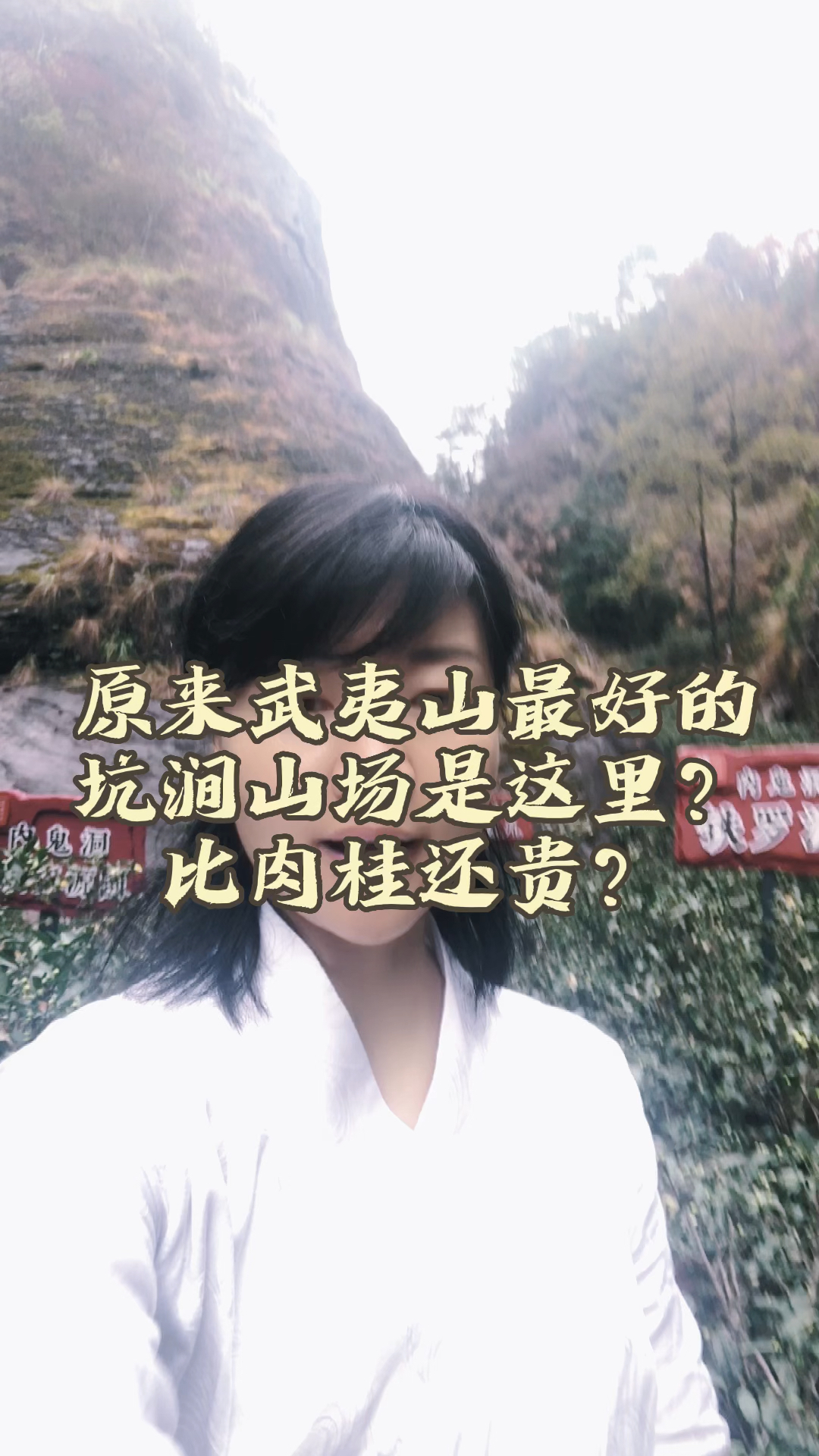 武夷岩茶比牛栏坑还贵的茶原来在这里