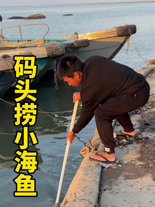 今天来码头捞点鱼回去煮汤,这种小海鱼鲜美嫩滑,有人吃过吗?