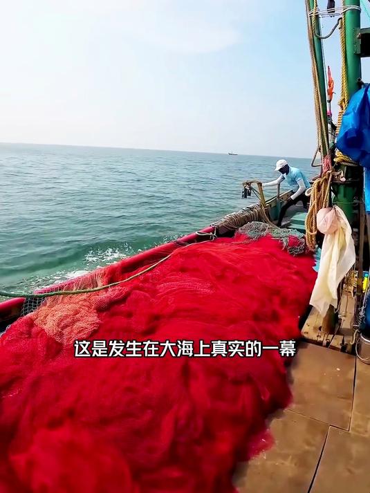 印度人通过眺望观察鱼情,然后在下网包围大海捕鱼