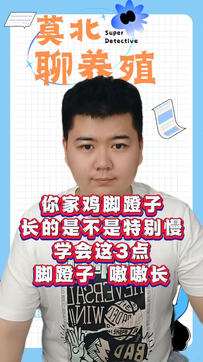 公鸡的脚蹬子多久能长出来公鸡什么时候开始长脚蹬子公鸡多长时间长脚蹬子公鸡脚蹬子