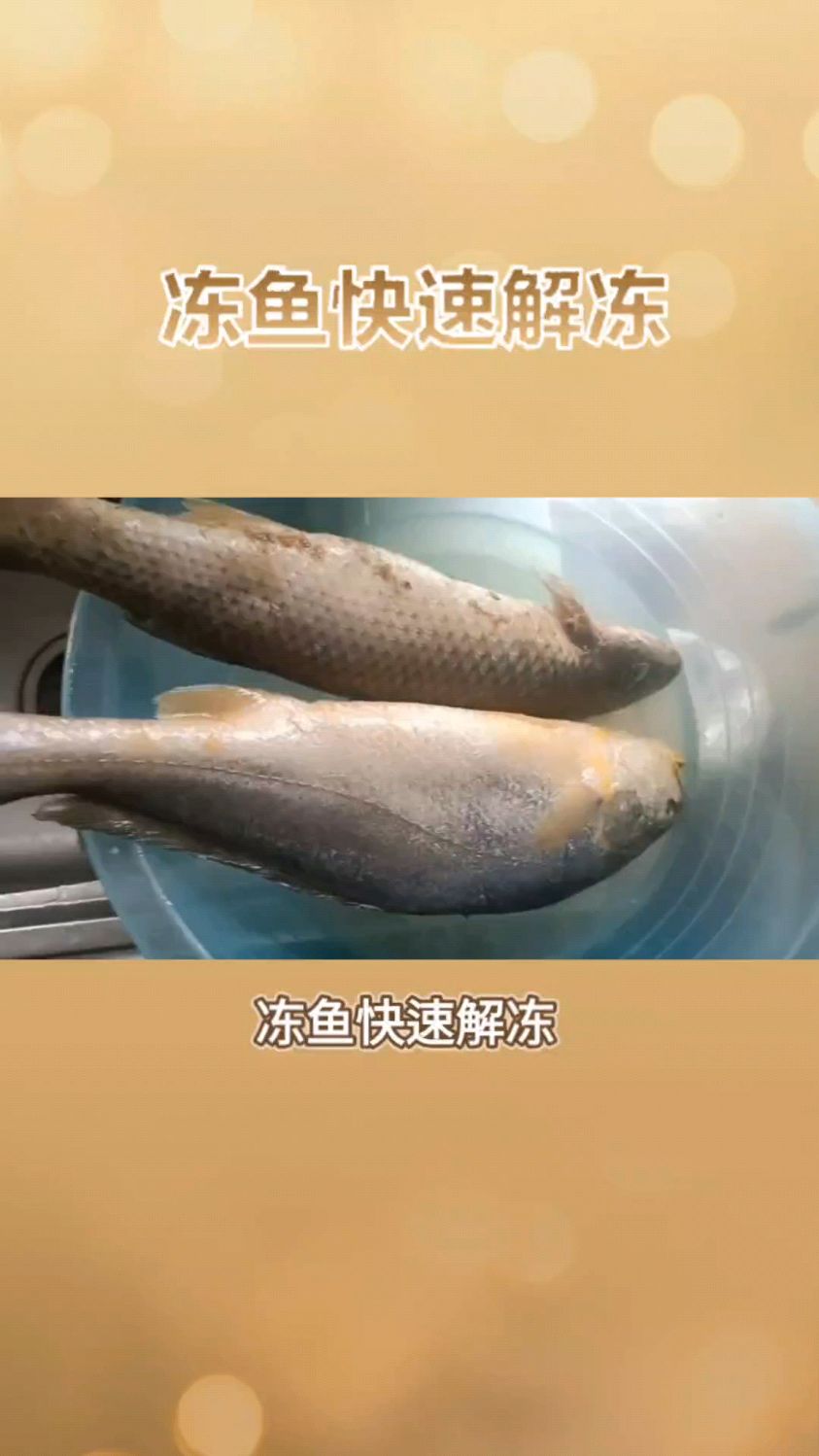 冻鱼快速解冻