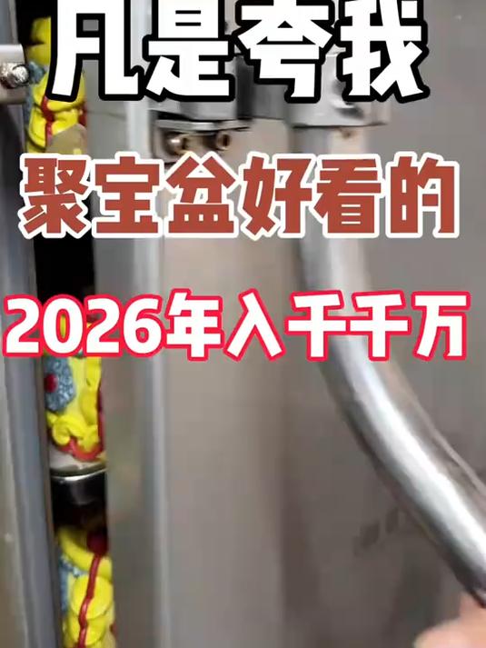 凡是夸我聚宝盆好看的,注定发财哈哈哈哈#花样馒头#