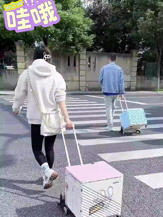 折叠购物车超市家用爬楼买菜小拉车,买菜溜娃神器