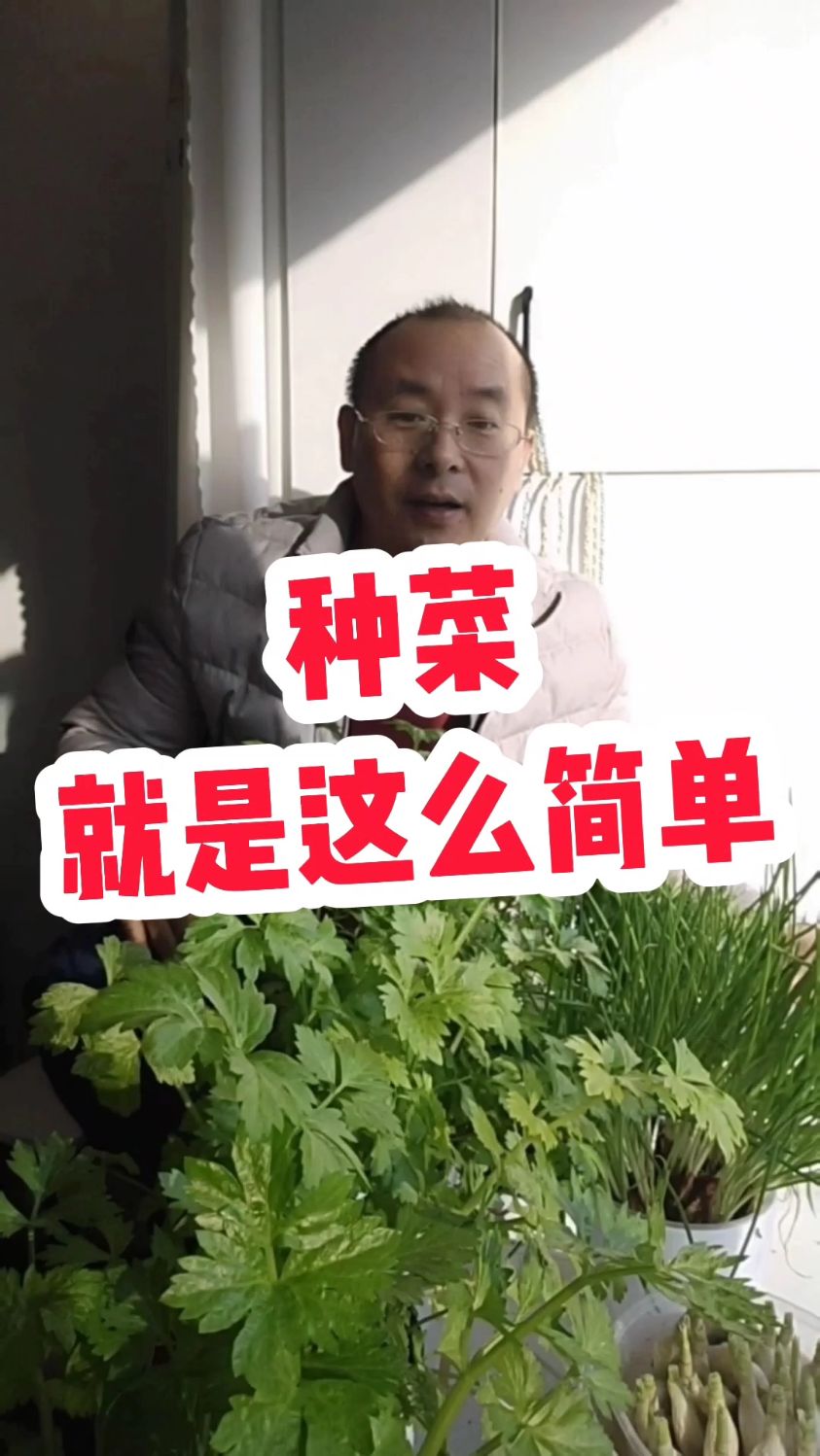 鱼菜共生种菜就是这么简单