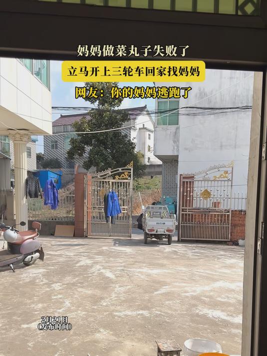 #马上就出发#妈妈做菜丸子失败了,立马开上三轮车回家找妈妈