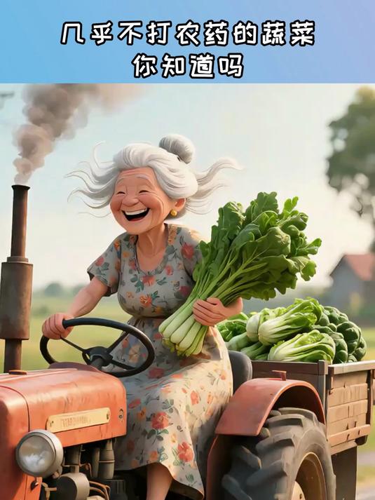 几乎不打农药的蔬菜你知道吗