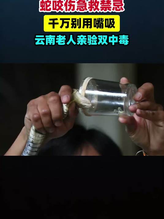 蛇咬伤急救，千万别用嘴吸！云南老夫妇亲身教训：这样做会双双中毒#健康扬帆季#