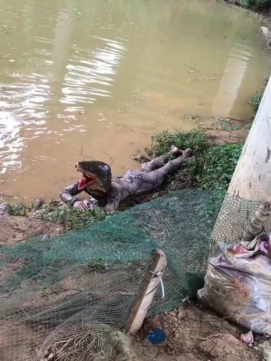 加重绳包坠不缠网三层渔网粘网捕鱼网丝网挂网