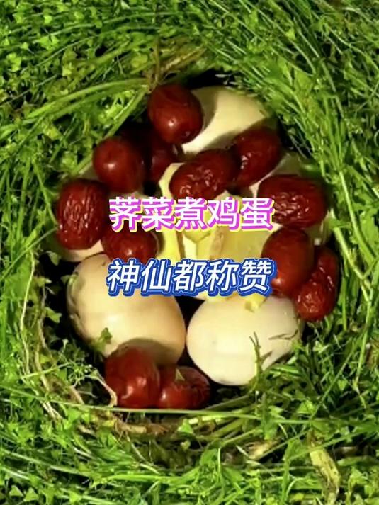 荠菜煮鸡蛋,神仙都称赞