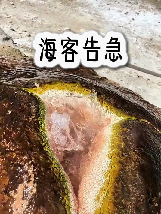身为雇佣兵的我杀人只需一把剃须刀，穿书盗笔自带麒麟纹身