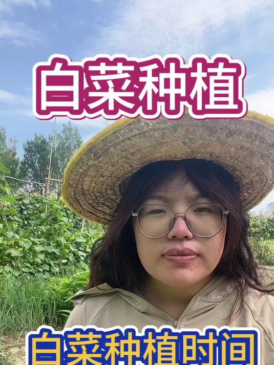 不同地区种白菜时间大不同!快来看看你家乡的最佳播种时间