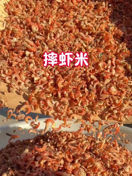 今天带大家看看,海岛传统的手工工艺的海米,是怎么摔出来的